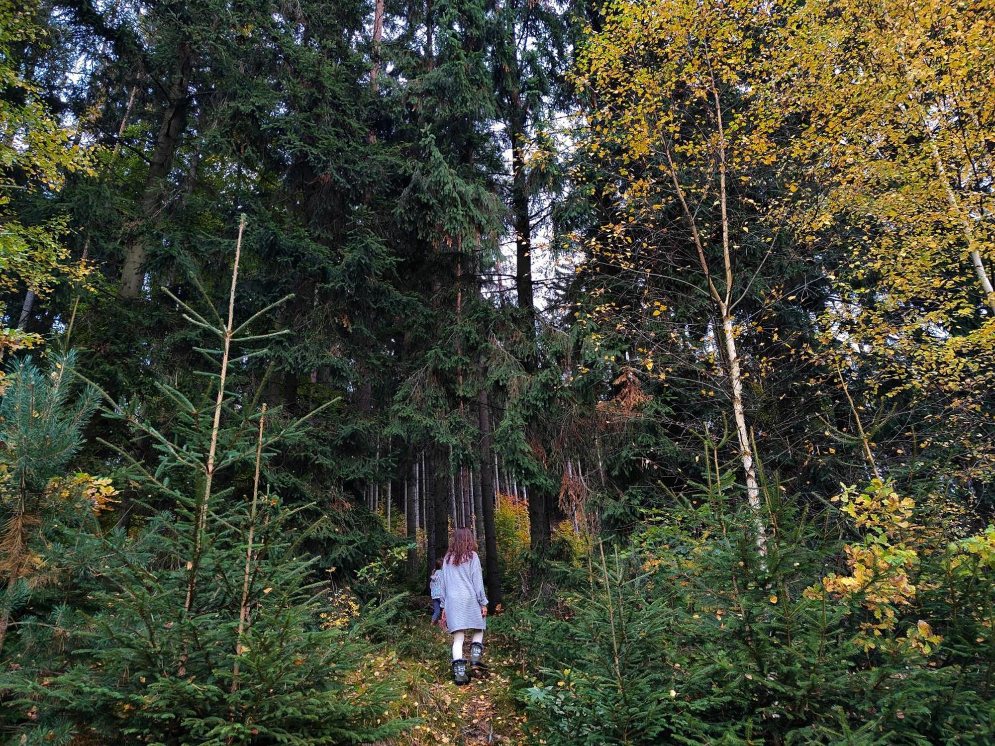 Glamping Niebianska Osada Jurty Dolnoslaskie & Luksustelt *